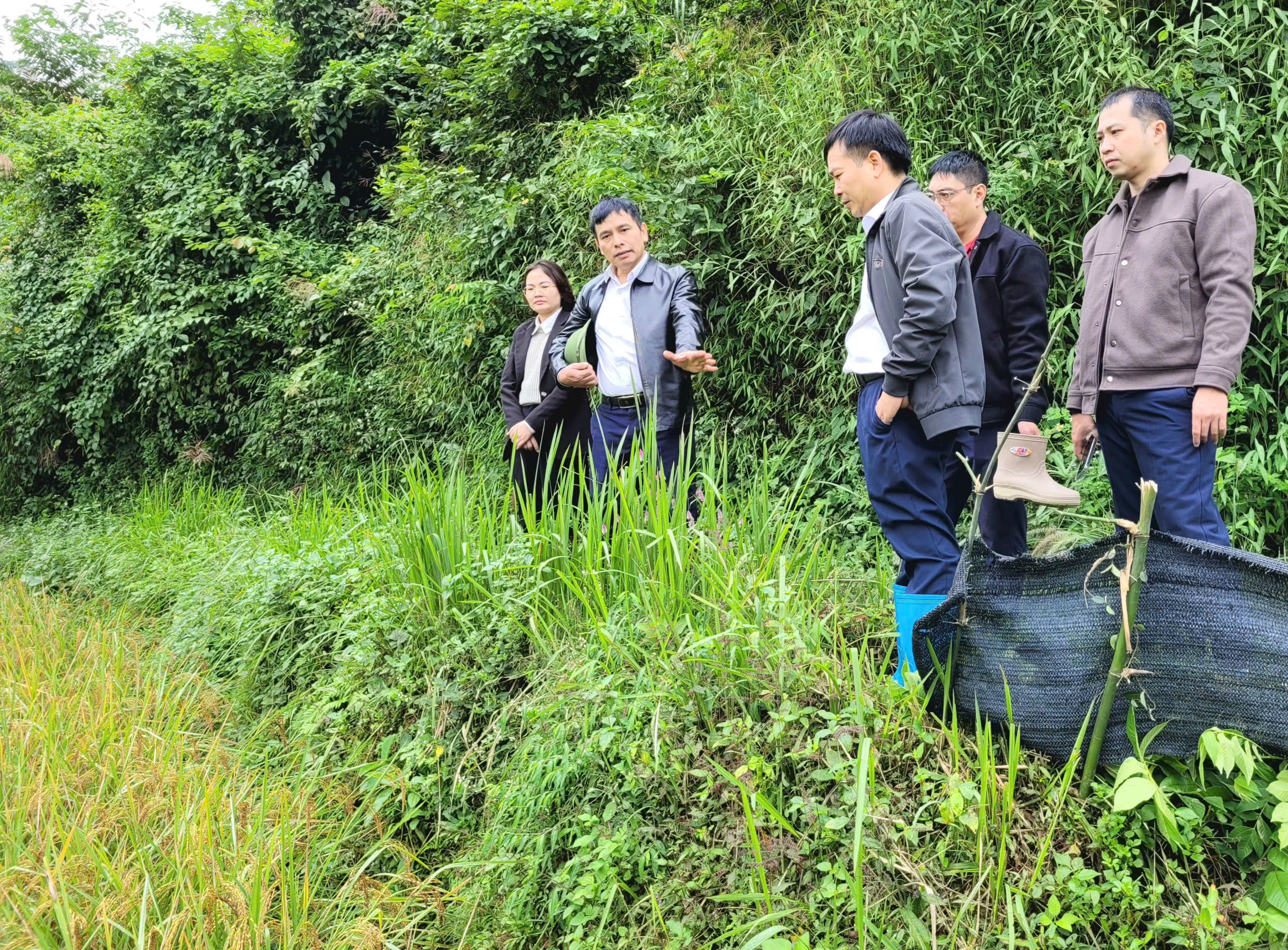 Ban Dân tộc HĐND tỉnh khảo sát việc thực hiện nghị quyết số 09/2019/NQ-HĐND tại xã Công Sơn