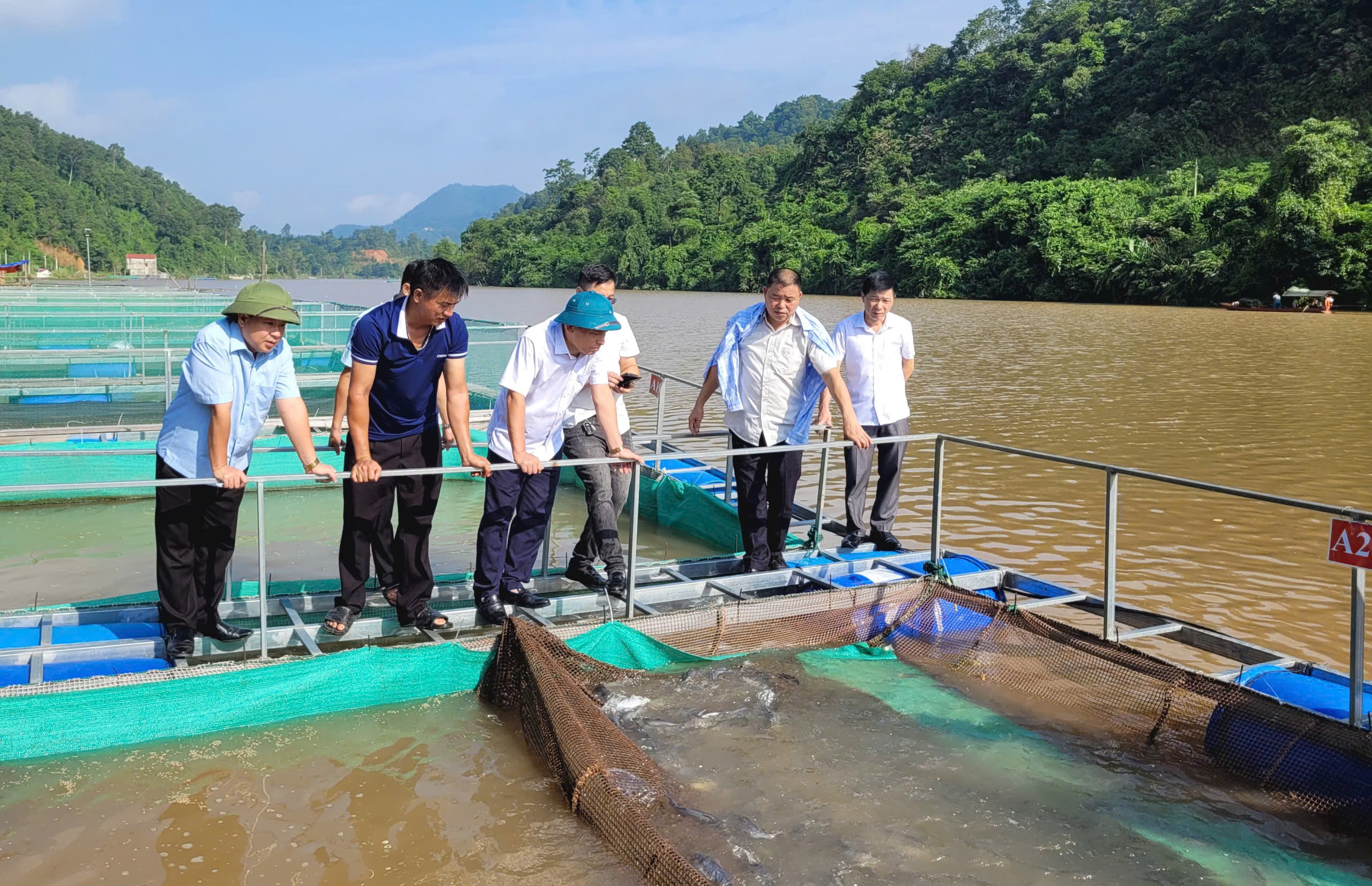 Ban Dân tộc HĐND tỉnh khảo sát các mô hình khuyến nông tại xã Khánh Khê và Thụy Hùng