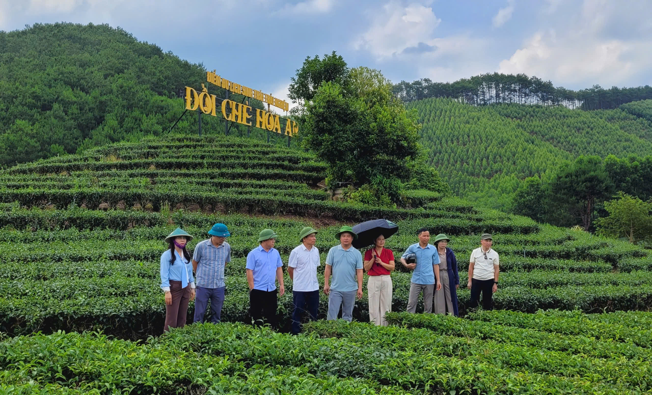 Khảo sát tình hình triển khai các nghị quyết về phát triển nông nghiệp gắn với phát triển vùng chè tại xã Thái Bình